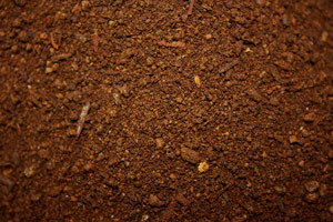 Rich Brown Compost